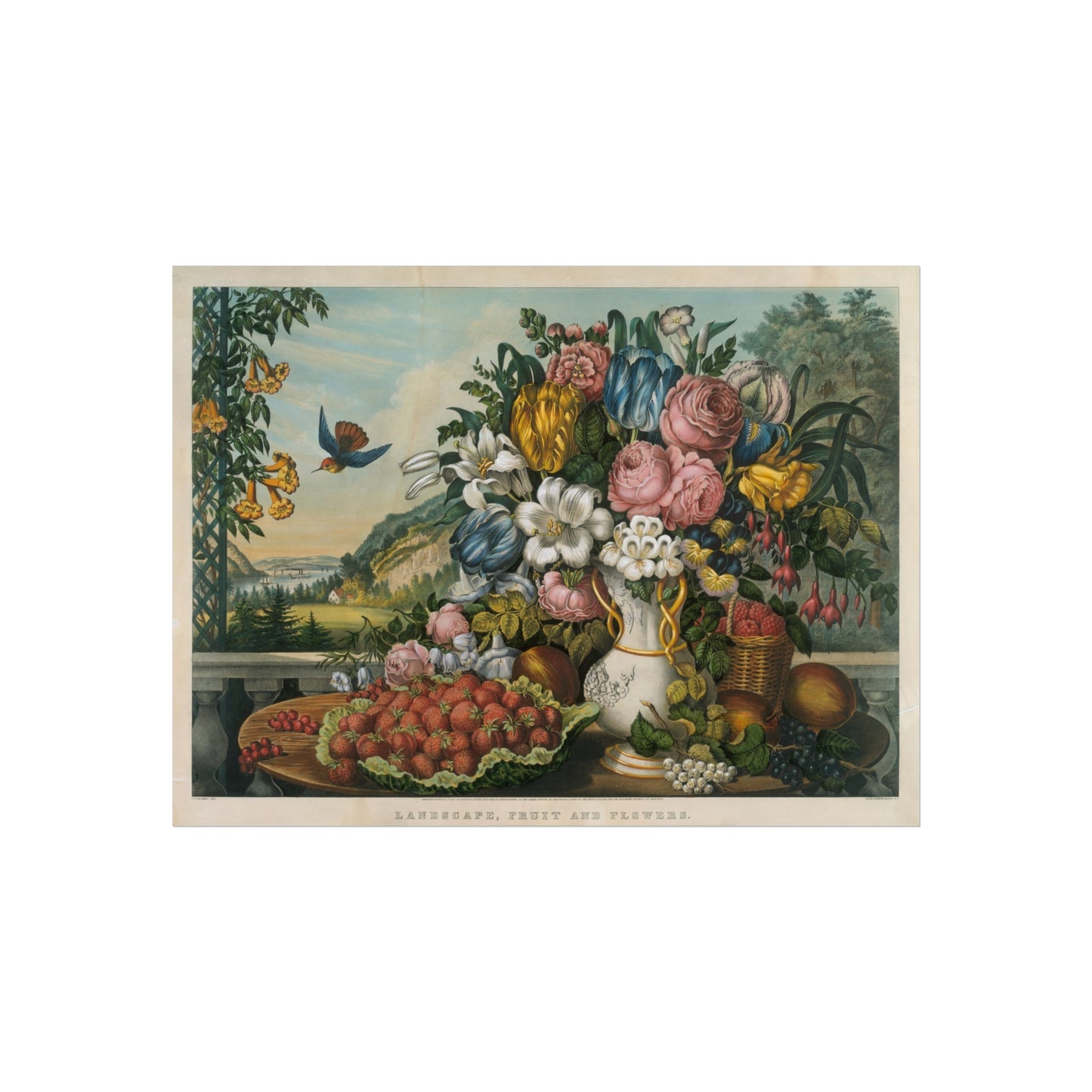 FruitNFlowers