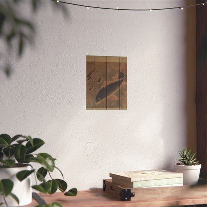 Nine Koi poster